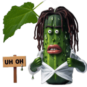 008