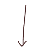 016