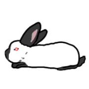 020
