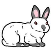 034