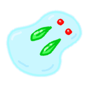 010