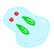 011