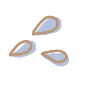 008