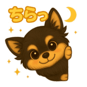 009