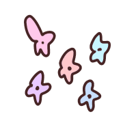 006