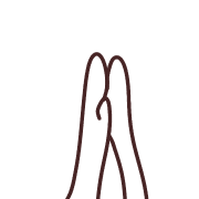 031