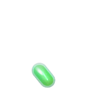 256