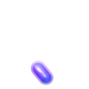 256