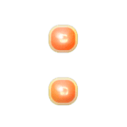 244
