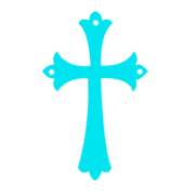 029