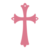 029