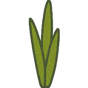 006