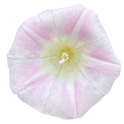 011