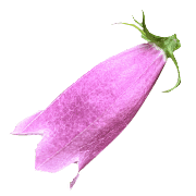 017