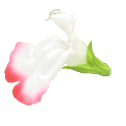 018