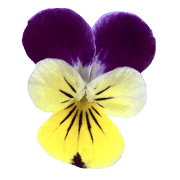 019