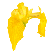 020