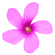 022