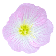 023