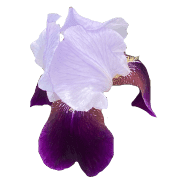 024
