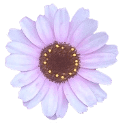 025