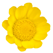 026