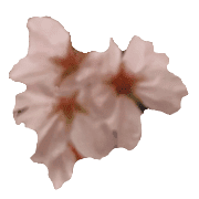 028