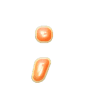 243