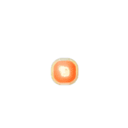 253