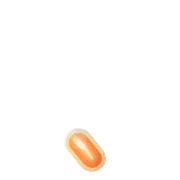 256