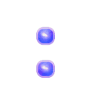 244
