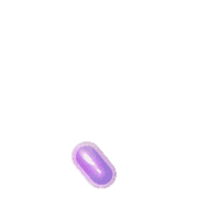 256