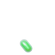256