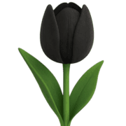019
