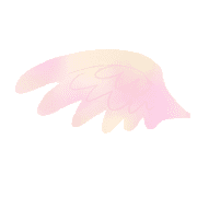 007