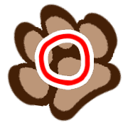 033