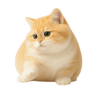 036