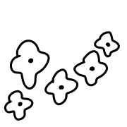 040