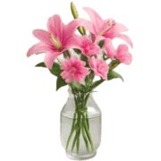 019