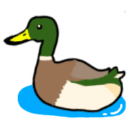 009
