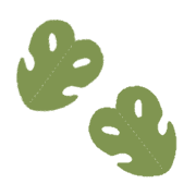 009