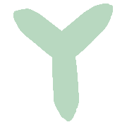 025