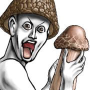 006