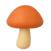 029