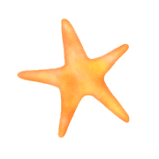017