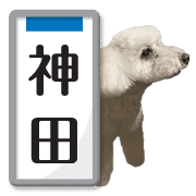 020