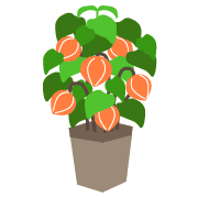 039
