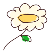029