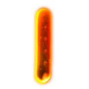 038