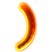 074